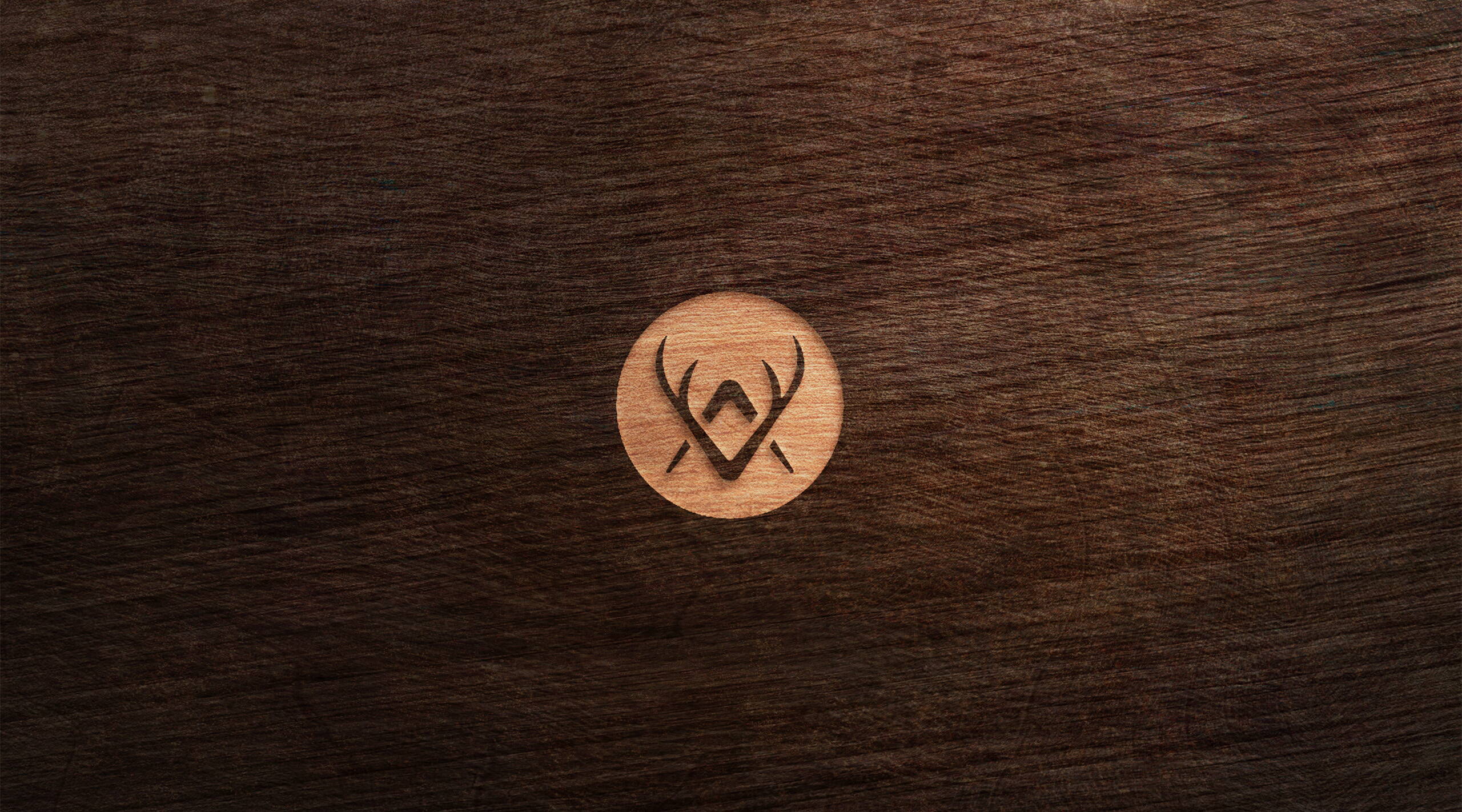 Tollkirsch Agentur – Wintialp Corporate Design