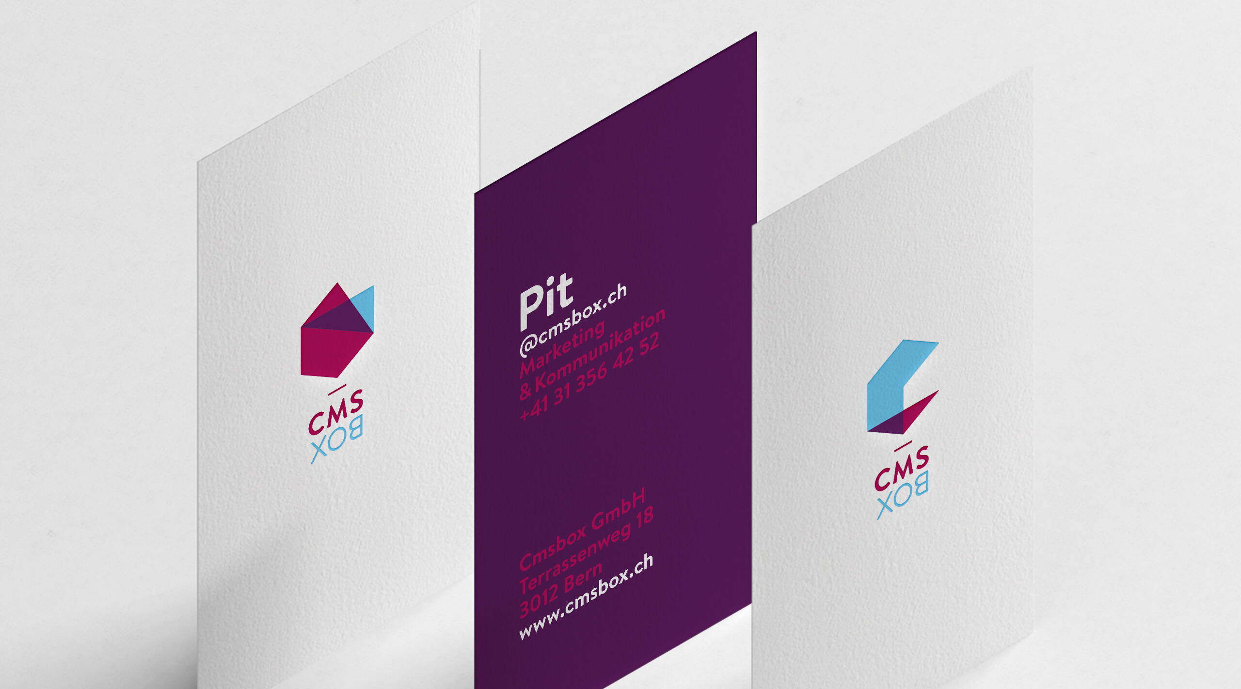 Tollkirsch Deine Agentur_Cmsbox_Branding Visitenkarte